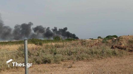 Γυναίκα συνελήφθη στα ορεινά των Τρικάλων για εμπρησμό 