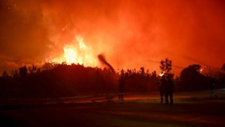Φωτιές: Συνεχίζονται οι “μάχες” με τις φλόγες σε Αλεξανδρούπολη, Ροδόπη και Καβάλα (ΒΙΝΤΕΟ)