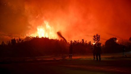 Καλύτερη εικόνα από τη φωτιά στην Κω – Στο ύπαιθρο πέρασε τη νύχτα ο κόσμος (ΒΙΝΤΕΟ)