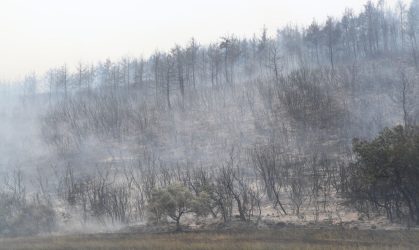 Φωτιές στον Εβρο: Συστάσεις σε κτηνοτρόφους και αγρότες