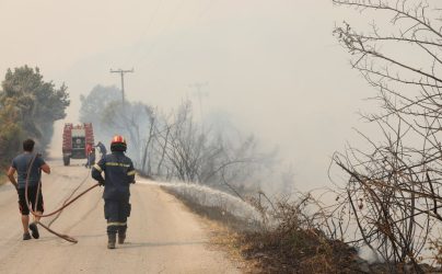 Ξέσπασε φωτιά σε πυκνό δάσος στην Εύβοια (ΒΙΝΤΕΟ)