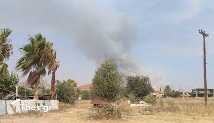 Φωτιά τώρα στην Χαλκιδική (ΒΙΝΤΕΟ & ΦΩΤΟ)