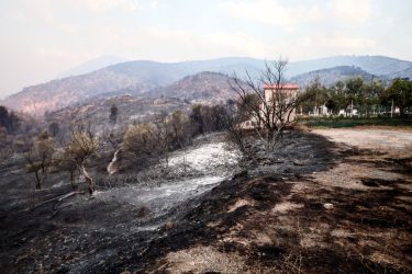 Φωτιές: Προσαγωγές υπόπτων για εμπρησμούς σε Αυλώνα και Μενίδι