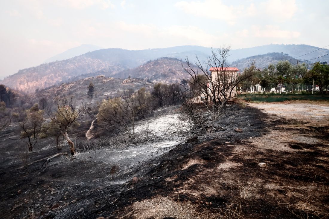 φωτιά Αττική Φυλή