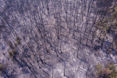 Φωτιά στον Εβρο: Τα 13 μέτρα στήριξης για τους πυρόπληκτους