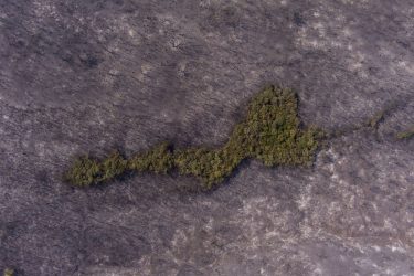 Κρανίου τόπος ο Εβρος – Εικόνες από drone που “μαυρίζουν” την ψυχή