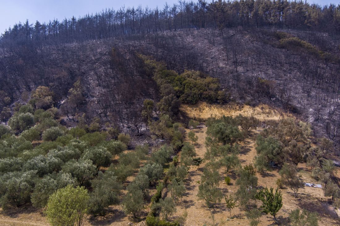 Κρανίου τόπος ο Εβρος – Εικόνες από drone που “μαυρίζουν ...
