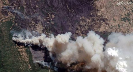 Copernicus: Στην Αλεξανδρούπολη η μεγαλύτερη καμένη έκταση στην Ευρώπη εδώ και χρόνια