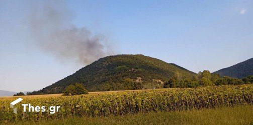 Μεγάλη φωτιά στους Αντιφιλίππους στην Καβάλα – Ορατοί από μακριά οι καπνοί (ΒΙΝΤΕΟ & ΦΩΤΟ)