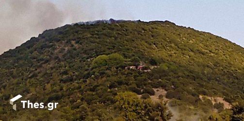 Οριοθετήθηκε η φωτιά στην Καβάλα – Σε επιφυλακή για αναζωπυρώσεις η πυροσβεστική