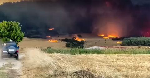 Φωτιά στην Αλεξανδρούπολη: Η στιγμή που αστυνομικοί σώζουν εγκλωβισμένο σκύλο (ΦΩΤΟ)
