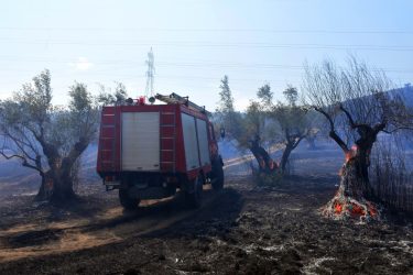 Στον ανακριτή αύριο (29/8) ο εμπρηστής που συνελήφθη στον Αυλώνα – «Πιάσατε λάθος άνθρωπο»