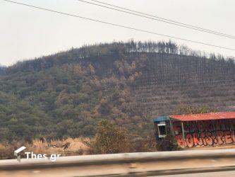 Φωτιά στον Εβρο: Μήνυμα 112 στους κατοίκους της Αύρας – Καλούνται να εκκενώσουν