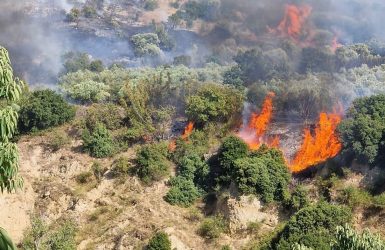 Σέρρες: Βελτιωμένη η εικόνα στο Βαμβακόφυτο – Συνεχίζεται η επιχείρηση της πυροσβεστικής