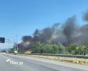 Φωτιά σε χόρτα στην Εθνική Οδό Αθηνών – Θεσσαλονίκης (ΒΙΝΤΕΟ)