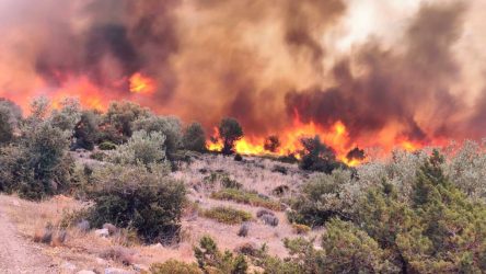 Φωτιά στη Βοιωτία: Με σκάφη απομακρύνουν 60 άτομα από την παραλία Σαράντη