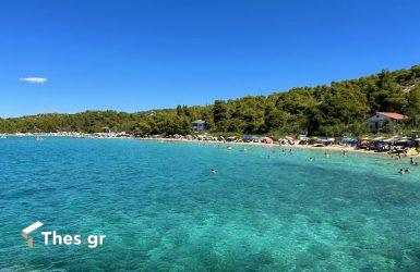 Ακτή Καλογριάς: Η ονειρεμένη παραλία στη Χαλκιδική με την ξανθή αμμουδιά, το πευκόφυτο δάσος και το… δικό της νησάκι! (ΦΩΤΟ)