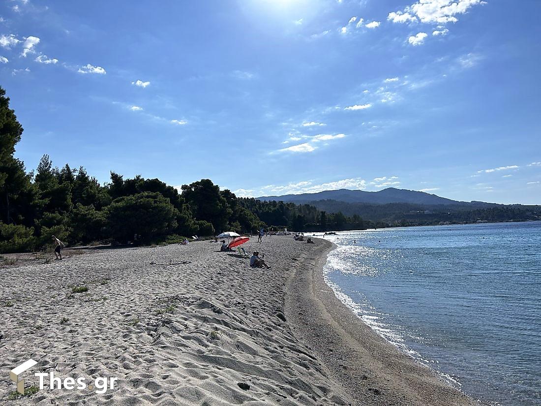 Παραλία Λαγόμανδρα Σιθωνία Χαλκιδική καλοκαίρι διακοπές Lagomandra Beach Chalkidiki Sithonia