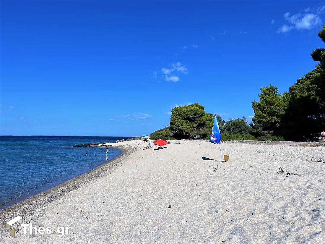 Παραλία Λαγόμανδρα Σιθωνία Χαλκιδική καλοκαίρι διακοπές Lagomandra Beach Chalkidiki Sithonia