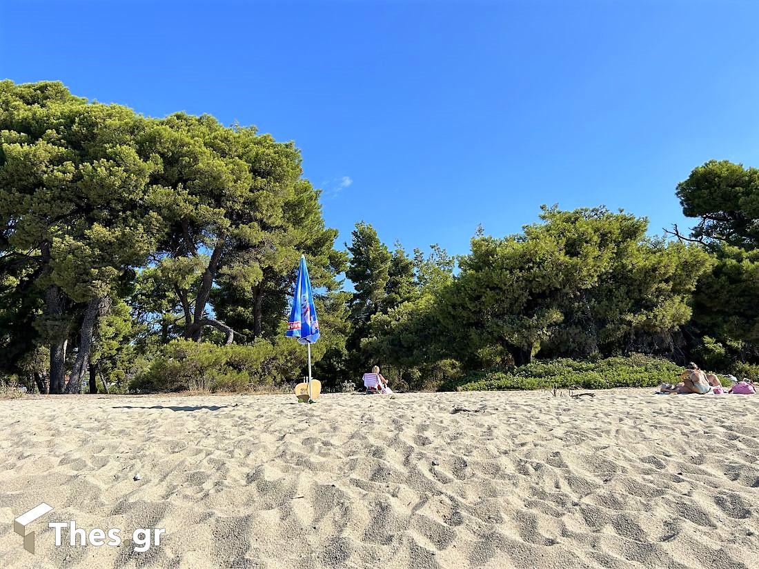 Παραλία Λαγόμανδρα Σιθωνία Χαλκιδική καλοκαίρι διακοπές Lagomandra Beach Chalkidiki Sithonia