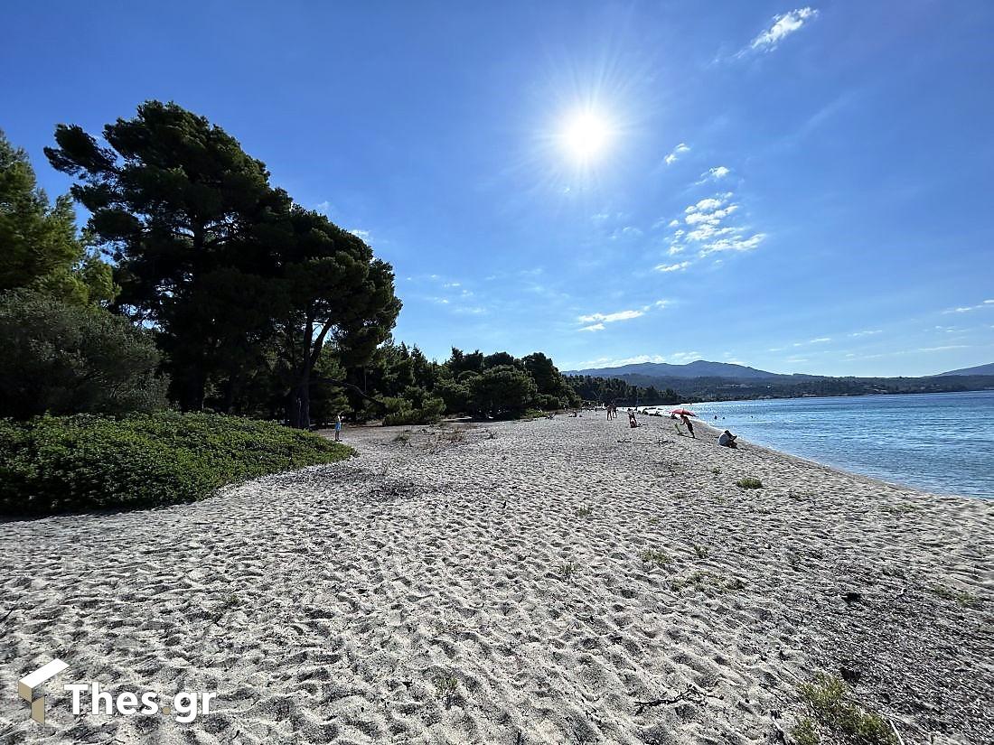 Παραλία Λαγόμανδρα Σιθωνία Χαλκιδική καλοκαίρι διακοπές Lagomandra Beach Chalkidiki Sithonia