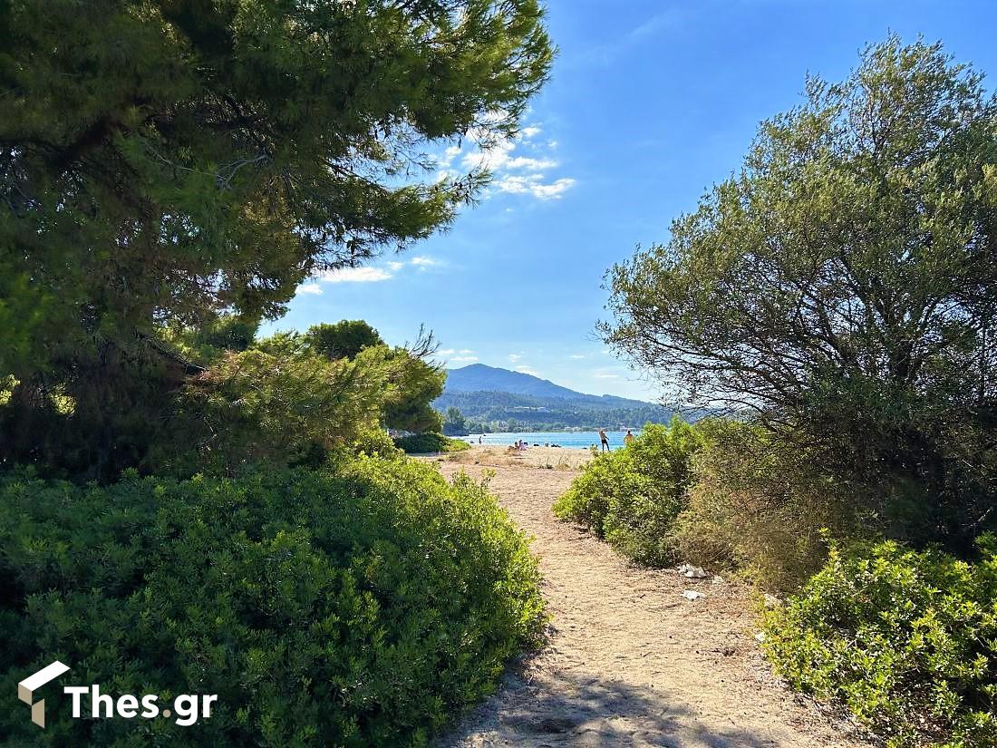 Παραλία Λαγόμανδρα Σιθωνία Χαλκιδική καλοκαίρι διακοπές Lagomandra Beach Chalkidiki Sithonia