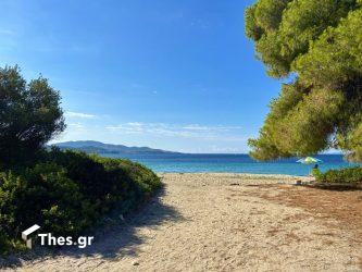 Παραλία Λαγόμανδρα Σιθωνία Χαλκιδική καλοκαίρι διακοπές Lagomandra Beach Chalkidiki Sithonia