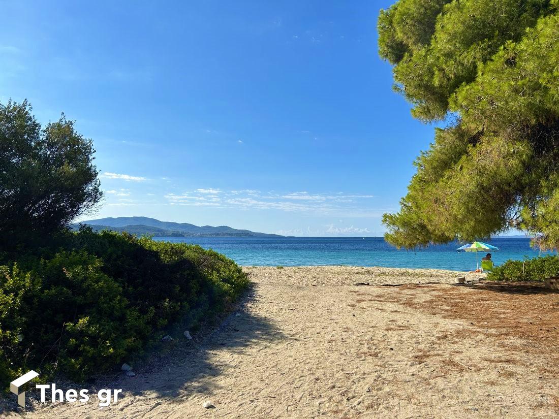 Παραλία Λαγόμανδρα Σιθωνία Χαλκιδική καλοκαίρι διακοπές Lagomandra Beach Chalkidiki Sithonia