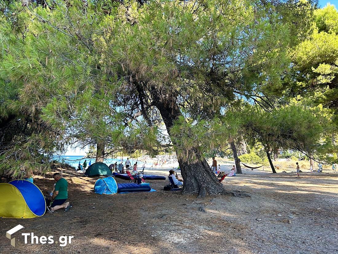 Παραλία Λαγόμανδρα Σιθωνία Χαλκιδική καλοκαίρι διακοπές Lagomandra Beach Chalkidiki Sithonia