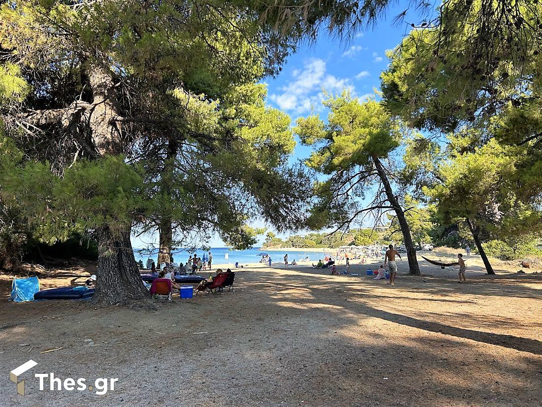 Παραλία Λαγόμανδρα Σιθωνία Χαλκιδική καλοκαίρι διακοπές Lagomandra Beach Chalkidiki Sithonia