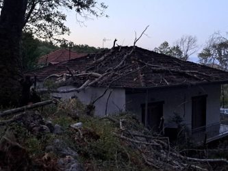 Τρίκαλα: Πλάτανος διέλυσε στέγη σπιτιού στα Καρτσουκέικα (ΦΩΤΟ)