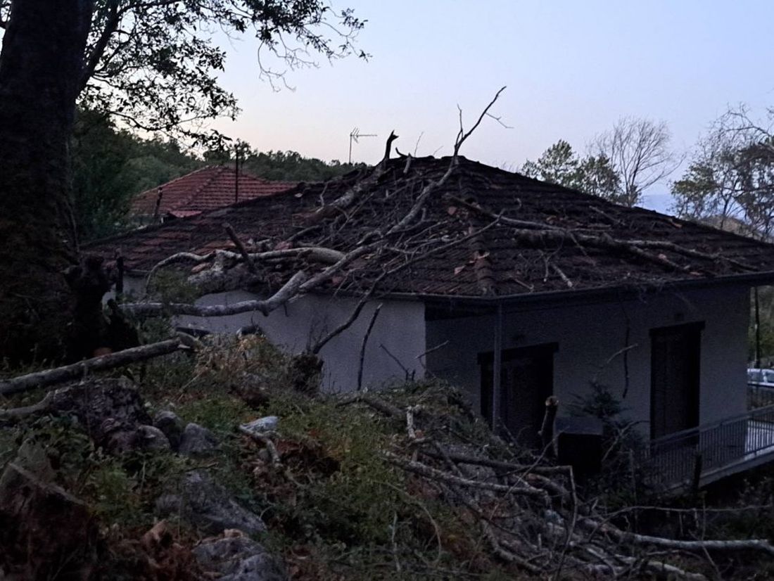 Τρίκαλα στέγη πλάτανος