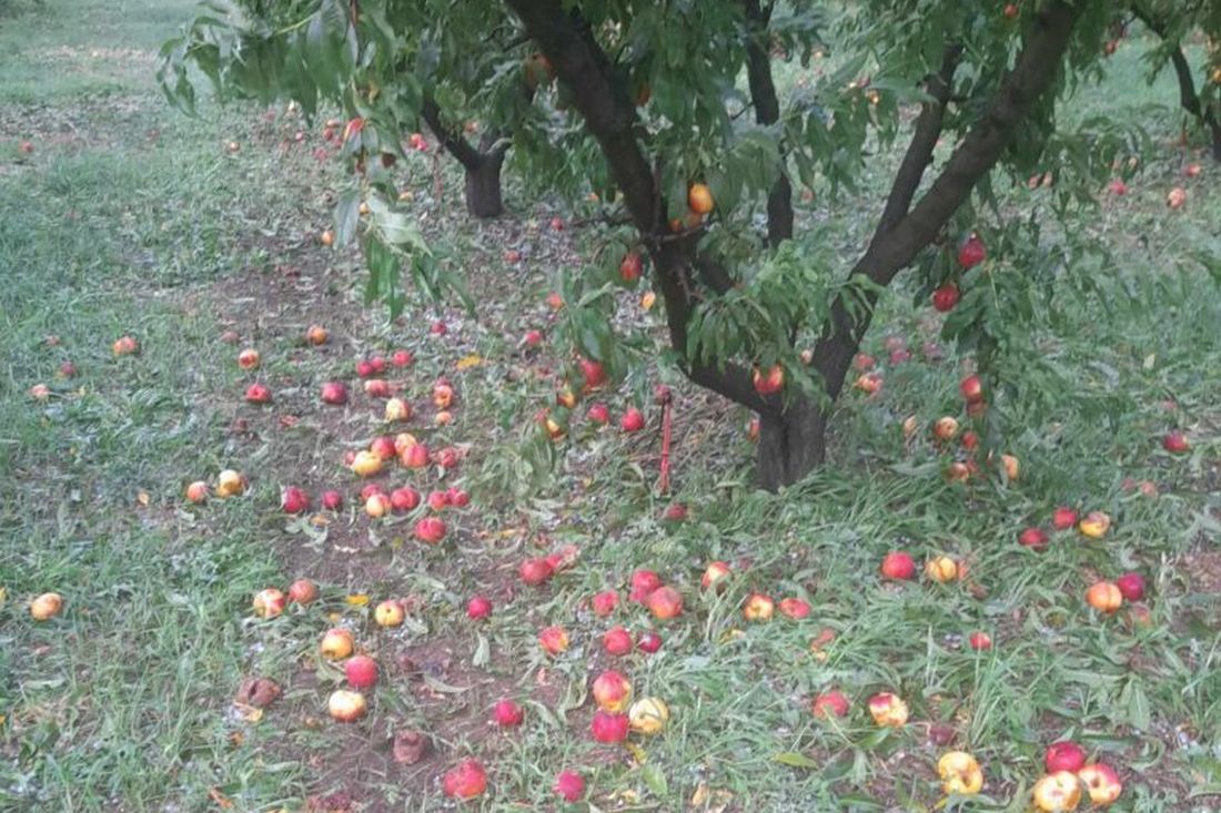 Σέρρες χαλάζι καταστροφές καλλιέργειες