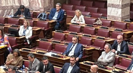 Μόνος του στη Βουλή ο Στίγκας – Απόντες οι βουλευτές των Σπαρτιατών (ΦΩΤΟ)