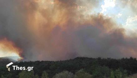 Σε ύφεση η φωτιά στον Εβρο – Συνεχίζουν τις επιχειρήσεις οι πυροσβέστες