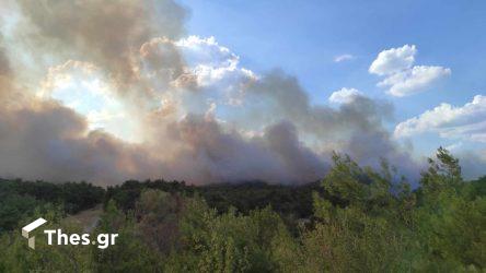 Φωτιές σε Μεγαλόπολη και Αργολίδα: Μηνύματα από το 112 – Εκκενώνονται περιοχές