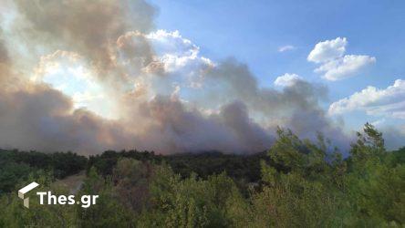 Λάρισα: Φωτιά σε δασική έκταση στο Καλαμάκι – Στη “μάχη” δεκάδες πυροσβέστες