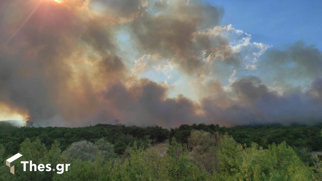 Έβρος Προβατώνας φωτιά