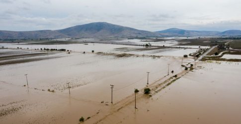 Αυγενάκης: “Θα δοθούν κανονικότατα οι αποζημιώσεις σε αγρότες και κτηνοτρόφους”