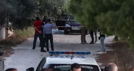 Βρέθηκε όπλο που ερευνάται για το φονικό στη Λούτσα