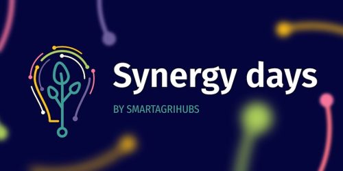 “Synergy Days”