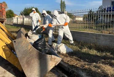 Θεσσαλία: Στην “μάχη” για την αποκομιδή νεκρών ζώων οι Ενοπλες Δυνάμεις (ΒΙΝΤΕΟ)