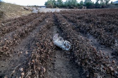 Κουνδουράς (ΑΠΘ): “Οι περισσότερες φετινές σοδειές στον θεσσαλικό κάμπο έχουν καταστραφεί, αλλά δεν μπορούμε να προεξοφλήσουμε το μέλλον”