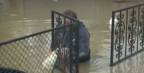Λάρισα: Σκυλί σφήνωσε σε κάγκελα – Το έσωσε πρόεδρος χωριού (ΒΙΝΤΕΟ)