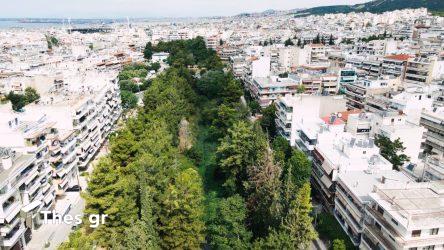 Ελαιόρεμα, Πυλαία: Για περπάτημα, ποδήλατο και παιχνίδι στο πιο όμορφο αστικό πάρκο της Θεσσαλονίκης (ΒΙΝΤΕΟ drone & ΦΩΤΟ)