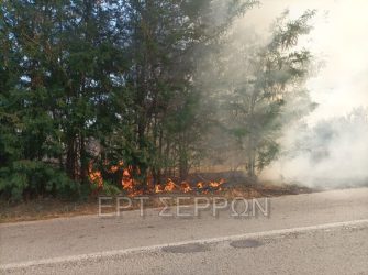 Σέρρες: 91χρονος ο υπεύθυνος για την φωτιά σε χωράφια