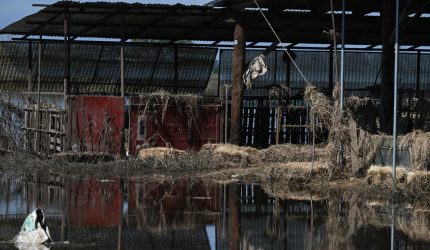 Θεσσαλία: 41 κρούσματα γαστρεντερίτιδας και 91 κρούσματα λοίμωξης του αναπνευστικού