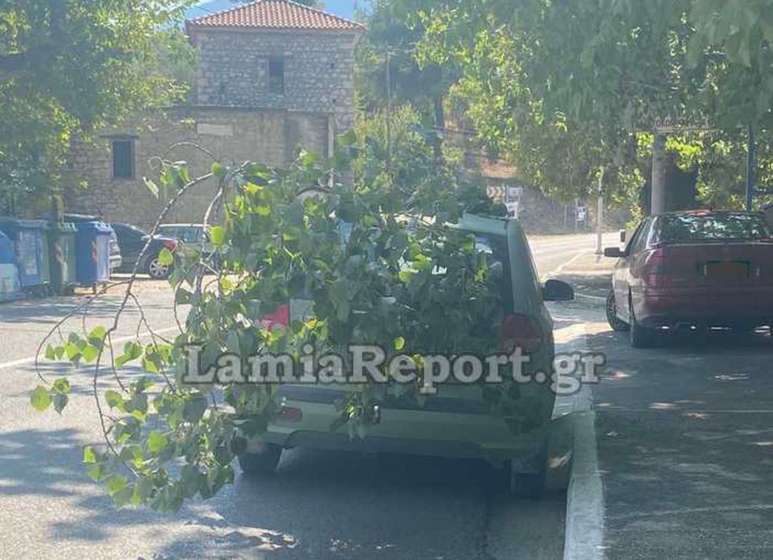 Λαμία κλαδί αυτοκίνητο