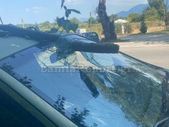 Λαμία: Κλαδί δέντρου καρφώθηκε στο παρμπρίζ εν κινήσει αυτοκινήτου (ΒΙΝΤΕΟ & ΦΩΤΟ)