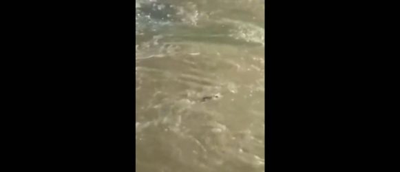 Νέο βίντεο ντοκουμέντο από την τραγωδία στον Πειραιά